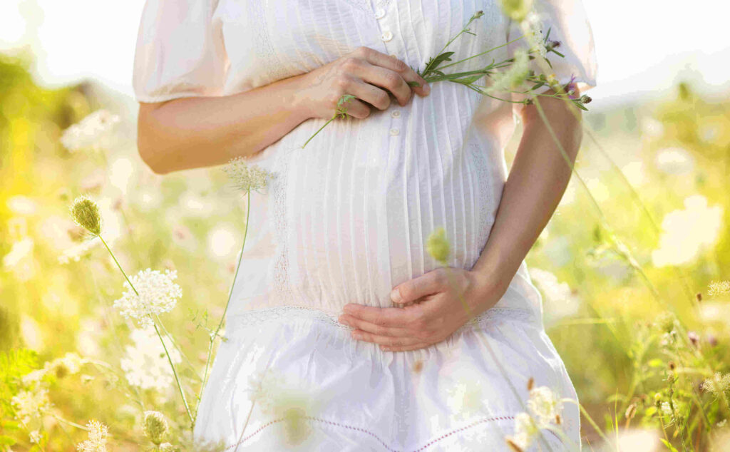 Conscious Pregnancy