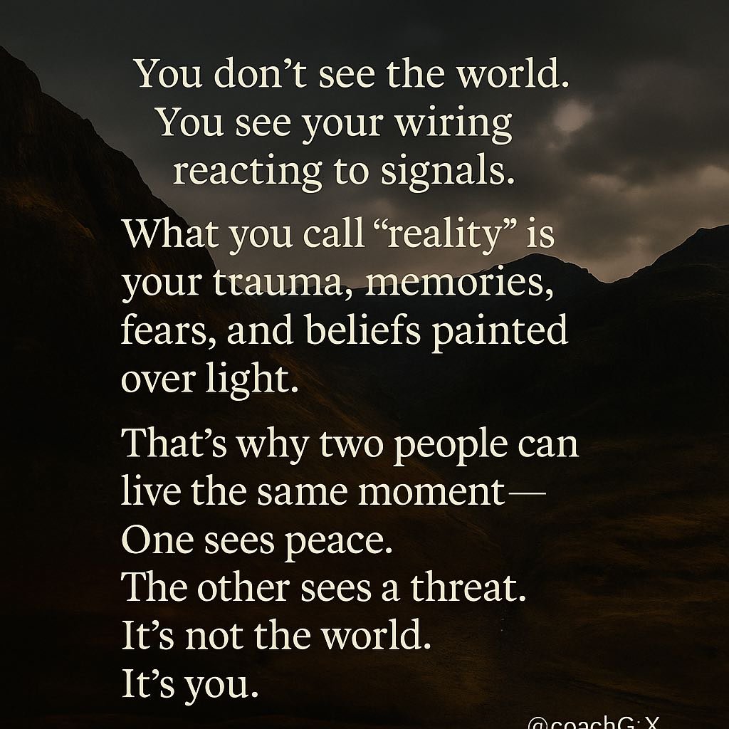 the world we see